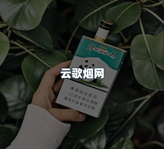 关于云歌烟网